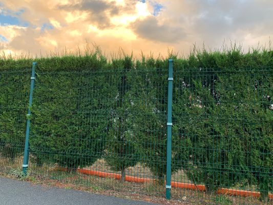 การรักษาความปลอดภัย welded สาย Mesh รั้วการละลายเคลือบ 3d พานีล