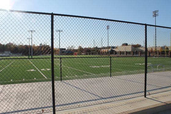 ราคาถูก เกษตรกรรมใช้งานหนัก กระปุก ไซคโลน สายเหล็ก แปลงเป็นเพชร Mesh Chain Link รั้วที่มี PVC ปกแต่ง