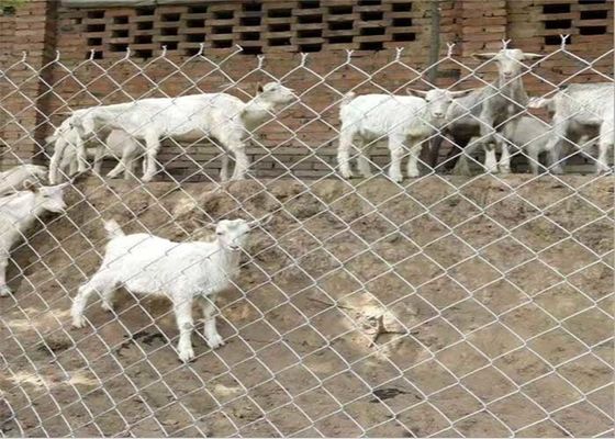 14 Gauge 6 Gauge Metal Chain Link Fencing เหล็กคาร์บอนต่ํา