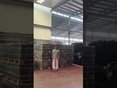 มุมมองที่ชัดเจน Trellis Spikes การรักษาความปลอดภัย 358 รั้วป้องกันการปีน