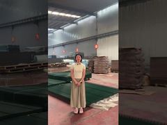 มุมมองที่ชัดเจน Trellis Spikes การรักษาความปลอดภัย 358 รั้วป้องกันการปีน