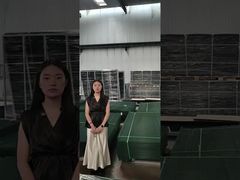 Clear View Fence Anti Climb Security รั้วทำพาเลท